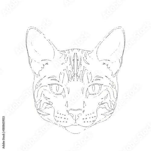 A close-up illustration of a grumpy domestic cat with distinctive grey tabby stripes and piercing green eyes, conveying an annoyed or displeased expression