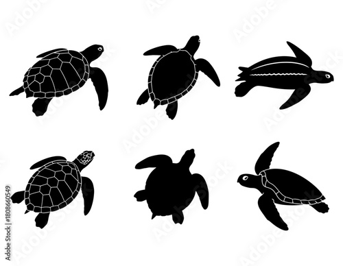 Collection of diverse sea turtle silhouettes, a versatile vector pack for ocean life and aquatic design projects