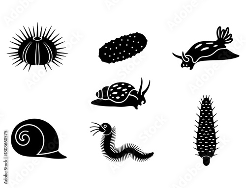 Collection of marine and garden invertebrate animals, a sea urchin, sea cucumber, sea slug, snail, worm, and spiny snail