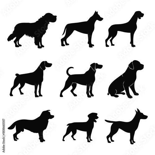 Set of Dog Breeds Silhouettes - Canine Illustration Collection