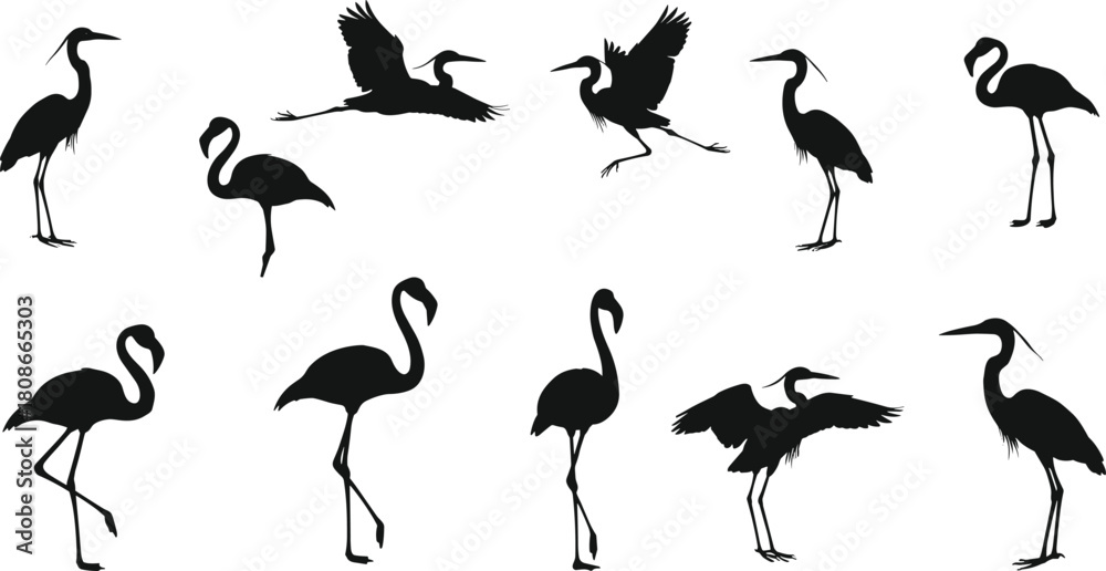 Naklejka premium Flamingo and heron silhouette vector, wading bird poses, flying and standing illustration, wildlife icon set, black nature graphic