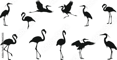 Flamingo and heron silhouette vector, wading bird poses, flying and standing illustration, wildlife icon set, black nature graphic