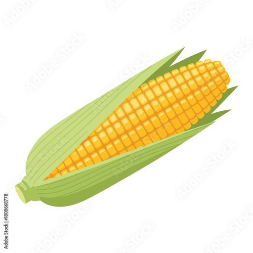 Illustration of a corn cob, partially husked, showing the yellow kernels, on a white background.