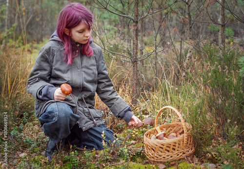 Young girl foraging mushroom in autumn forest picking