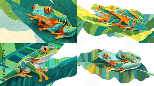 Vibrant illustrations of colorful tree frogs sitting on tropical leaves. Bright wildlife artwork with lively green tones, natural patterns, and rainforest inspired themes.