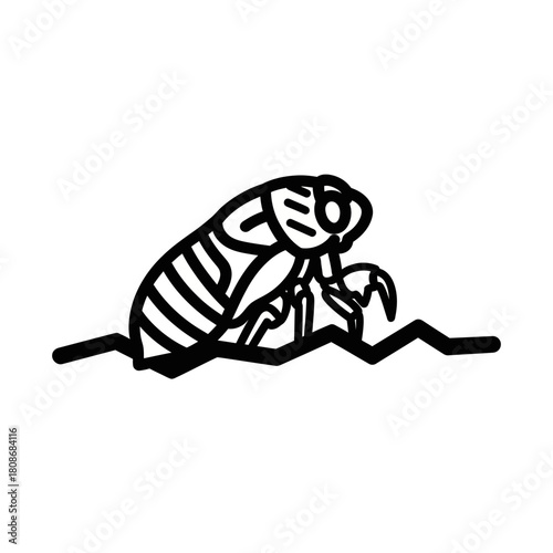 Detailed illustration of a flea insect with intricate body lines and features.