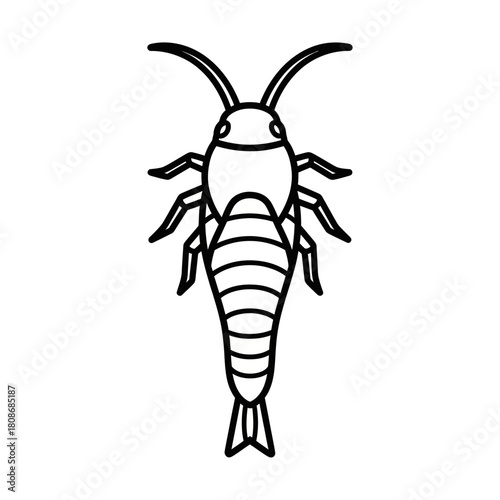 Simple Line Art Illustration of a Silverfish Insect.