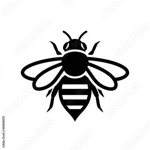 Detailed black and white illustration of a honeybee insect.