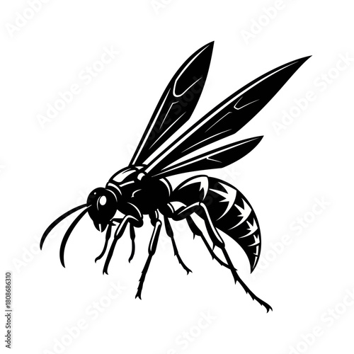 Detailed black and white illustration of a wasp insect in flight.