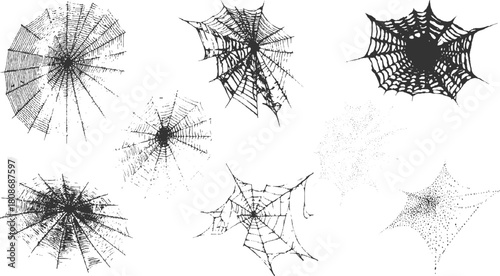 Collection of black and white spider webs in various styles and sizes spiderweb arachnid
