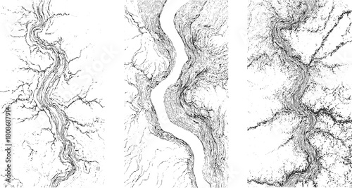 Three abstract black and white ink drawings of winding rivers and branching tributaries vector