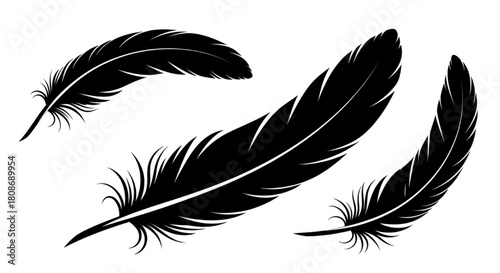 Feather Silhouette Vector Illustration Showing Different Curves and Orientations in Minimal Nature Style

