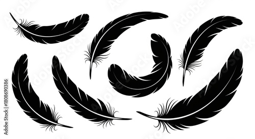 Feather Silhouette Vector Illustration Showing Different Curves and Orientations in Minimal Nature Style

