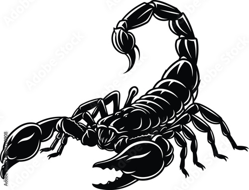 Black scorpion graphic vector illustration isolated on background