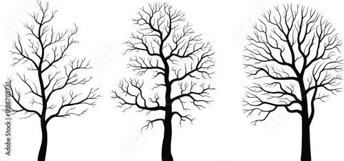 Set of three black leafless tree silhouettes isolated on white background for winter nature design and spooky landscape vector illustration