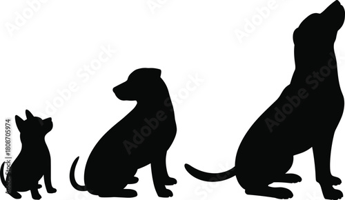 Vector silhouette showing dog life cycle stages from small puppy to young dog and large adult sitting on white background