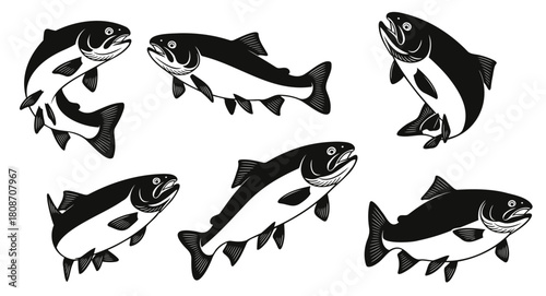 Set of Six Black and White Salmon Fish Illustrations.