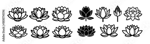 Collection of Lotus Flowers in Various Styles and Stages of Bloo