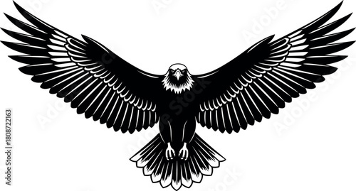 Flying bald eagle, front view silhouette, spread wings vector, American national bird symbol, black and white raptor illustration, isolated.