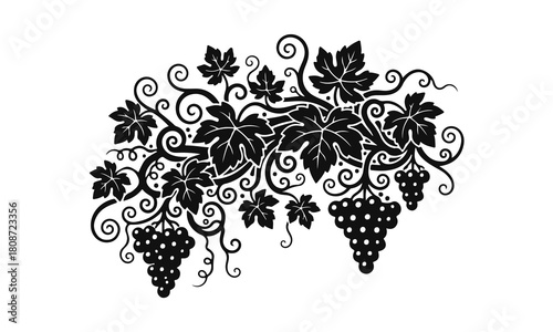 Elegant grapevine with curling tendrils, leaves and grape clusters in decorative style — grape vine, grape leaves, vineyard design, wine emblem, vine illustration