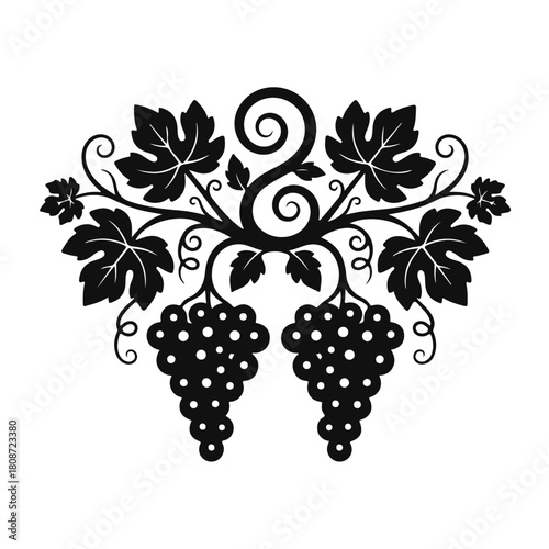 Elegant grapevine with curling tendrils, leaves and grape clusters in decorative style — grape vine, grape leaves, vineyard design, wine emblem, vine illustration