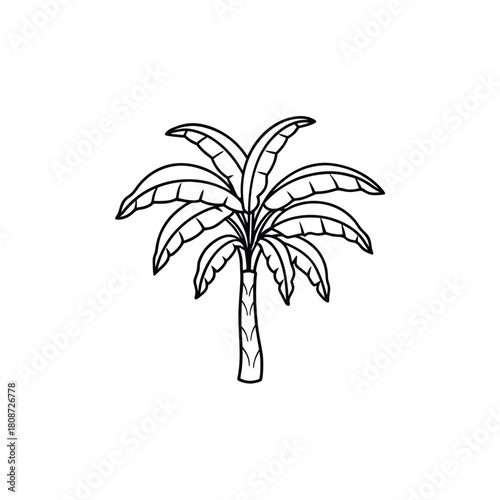 Simple outline illustration of a banana tree on a white background