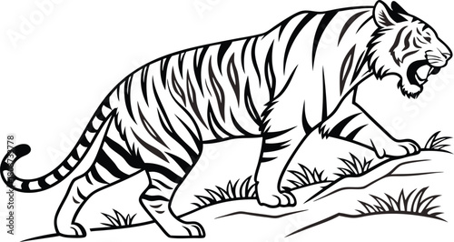 Striking tiger illustration prowling with power and grace, perfect for educational materials, wildlife projects, or conservation campaigns with impact