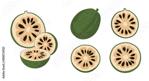 Illustration of whole and sliced bael fruits, also known as wood apple, on a white background.