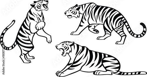 Striking tiger illustration showcases power and grace in dynamic poses, perfect for wildlife projects, conservation campaigns, and educational resources