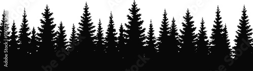 Black silhouette of coniferous pine forest skyline, evergreen trees isolated on white background, vector illustration for wilderness landscape.