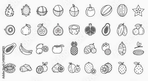 A Diverse Collection of Tropical and Exotic Fruits Illustrated in a Clean Outline Style, Perfect for Various Designs