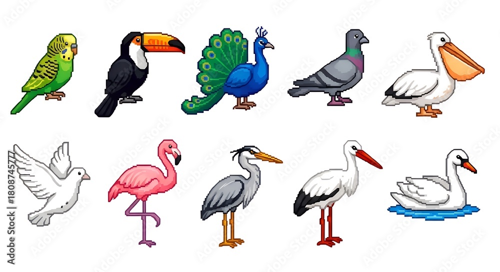 Obraz premium Collection of diverse bird illustrations for educational purposes