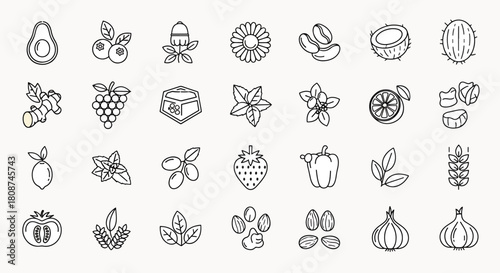 Collection of Fresh Food and Produce Icons Featuring Fruits Vegetables Grains and Nuts A Healthy Lifestyle Food Icons Set