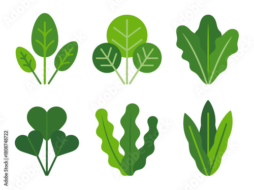 This image showcases an assortment of different leaf designs that emphasize various shades of green and textures, evoking a natural, fresh ambiance suitable for diverse uses.
