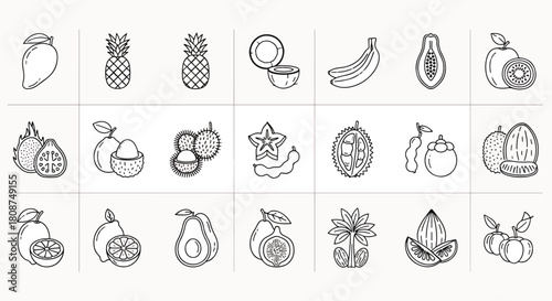 Collection of Tropical Fruits Icons and Symbols, Exotic Food Variety, Mango Pineapple Banana Coconut Papaya, Vector Illustration