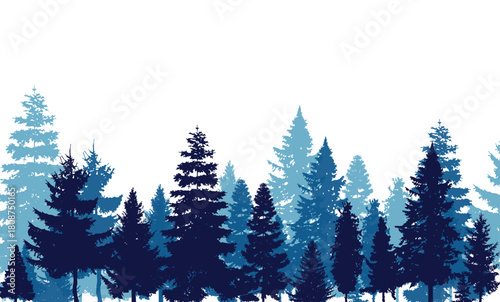 pine trees silhouettes evergreen coniferus vector image