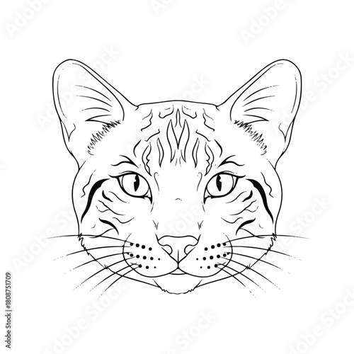 Close-up illustration of a domestic cat's face, showcasing its striking features and intricate patterns