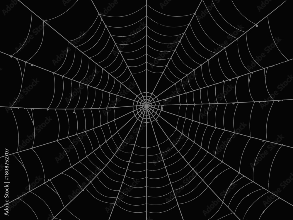 Obraz premium Capturing the intricate design of a spider web against a contrasting black background, this image highlights nature's artistry and evokes feelings of mystery and intrigue.