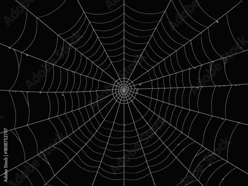 Capturing the intricate design of a spider web against a contrasting black background, this image highlights nature's artistry and evokes feelings of mystery and intrigue.