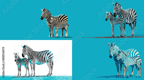 Stylized zebra family illustrations with bold colors and strong contrast. Elegant wildlife artwork featuring parent and baby zebras ideal for nature prints modern posters and animal themed designs.