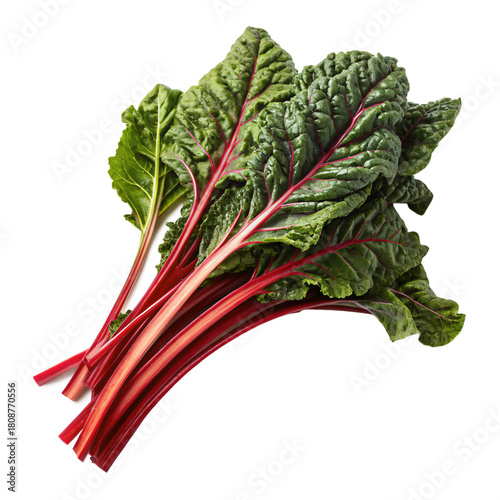 Fresh vibrant rhubarb, a healthy food choice