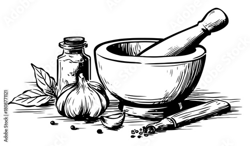 Herbal Mortar And Pestle With Garlic Spices Vintage Kitchen Sketch Vector