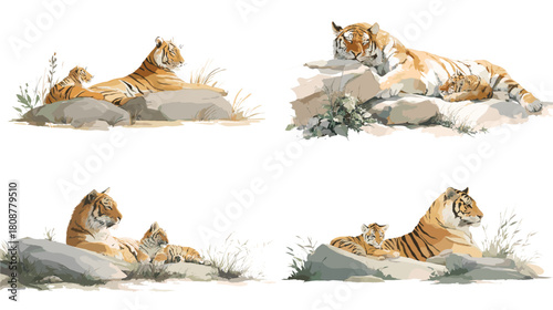 A gentle watercolor illustration of a tiger and cub resting on rocks in a calm natural setting. Perfect for wildlife themes, nature decor, conservation art, and soft botanical designs.