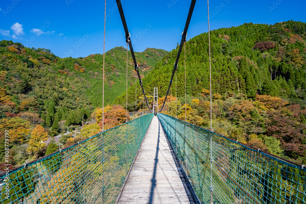 Obraz premium 杣の大吊橋の紅葉の風景（八女市）