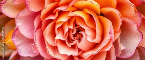 Intricate swirling petals in vibrant hues, forming a dreamy, ethereal floral backdrop, ethereal, design