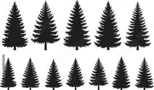 Pine tree silhouette collection, vector spruce and fir forest set, nature landscape elements, black Christmas tree icons.