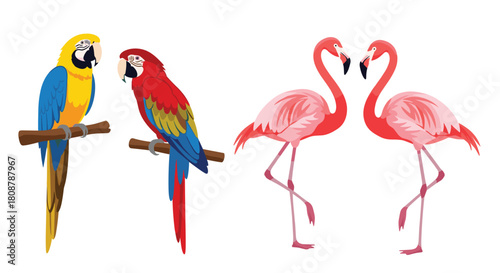 Two colorful macaws perched on branches and two pink flamingos standing with their necks intertwined.