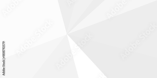 Abstract white and gray texture line shadow shape background. white pattern. vector illustration