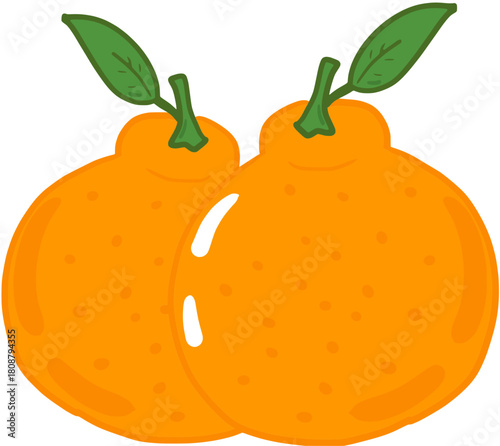 orange fruit vector illustration
