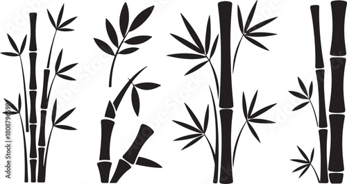 Bamboo plant stem leaves vector silhouette icon